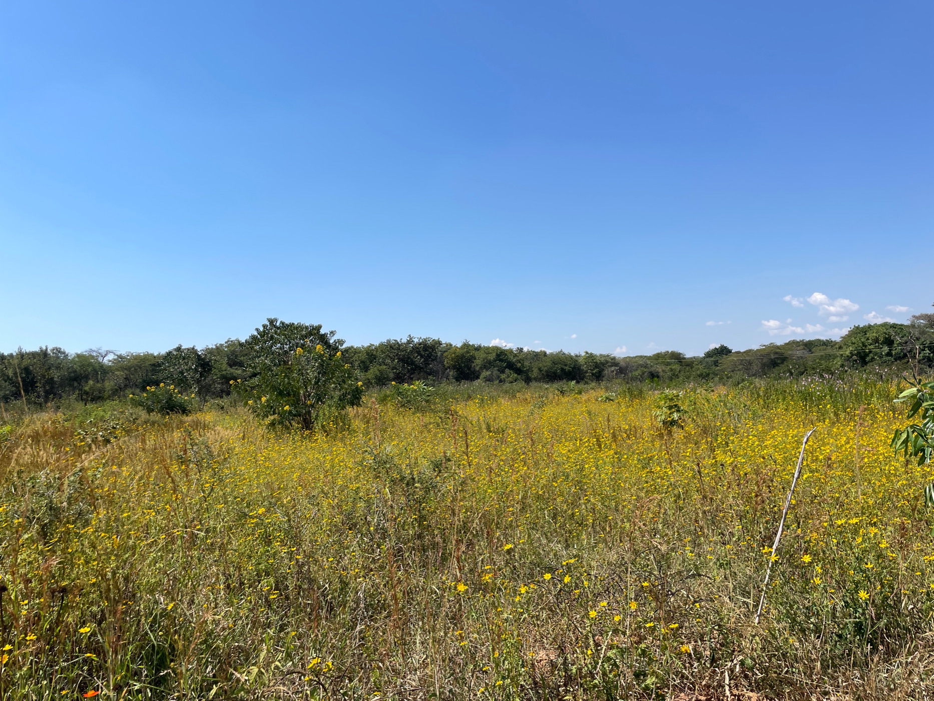 Mixed use farm for sale in Lusaka West, Zambia - 3ZA1660515