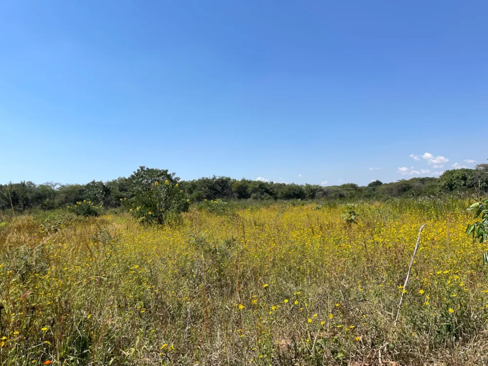 Mixed use farm for sale in Lusaka West, Zambia - 3ZA1660515