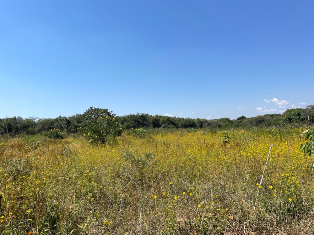 Mixed use farm for sale in Lusaka West, Zambia - 3ZA1660515