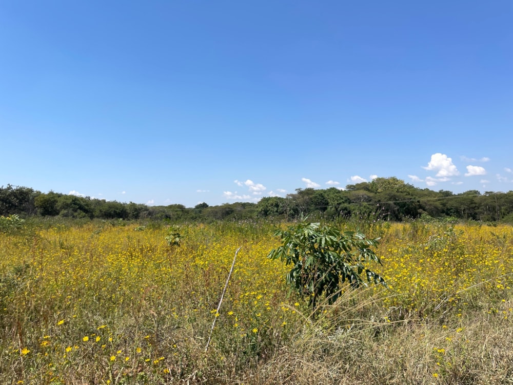 Mixed use farm for sale in Lusaka West, Zambia - 3ZA1660515