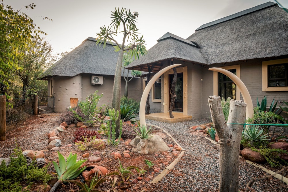 House let in Hoedspruit Wildlife Estate - 1HS1714924 House let in Hoedspruit Wildlife Estate - 1HS1714924