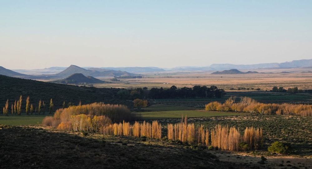 Mixed use farm for sale in Molteno - 1KK1662576