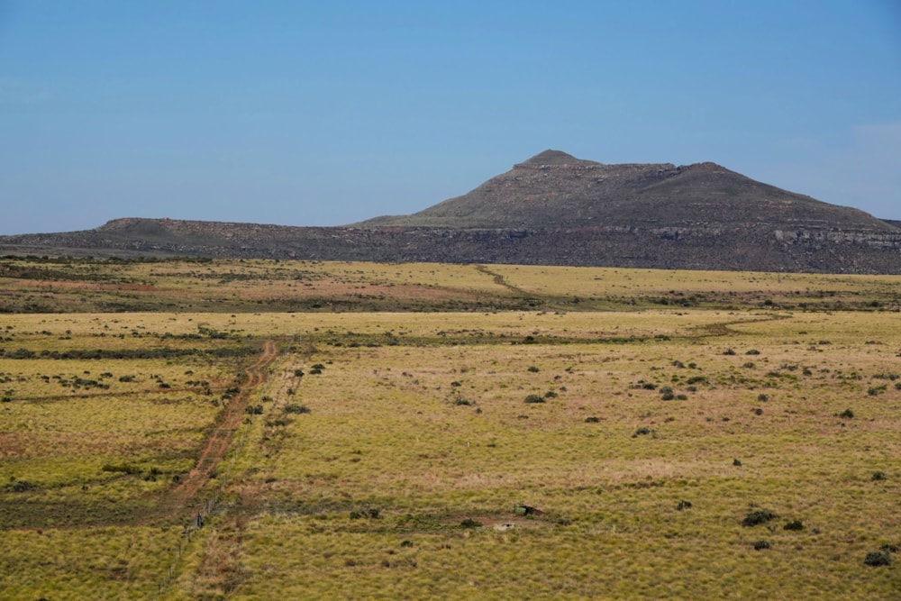 Mixed use farm for sale in Molteno - 1KK1662576