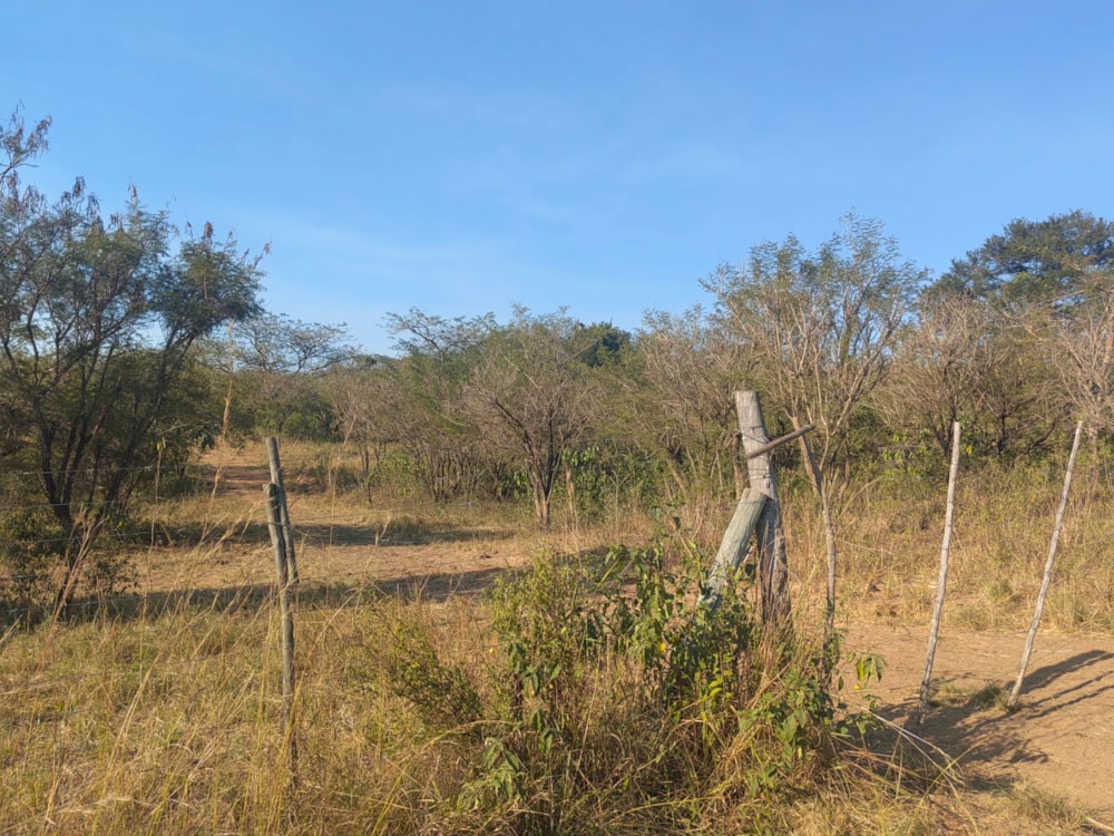 Farm vacant land for sale in Mbombela Rural (Nelspruit Rural) - 1NS1660750