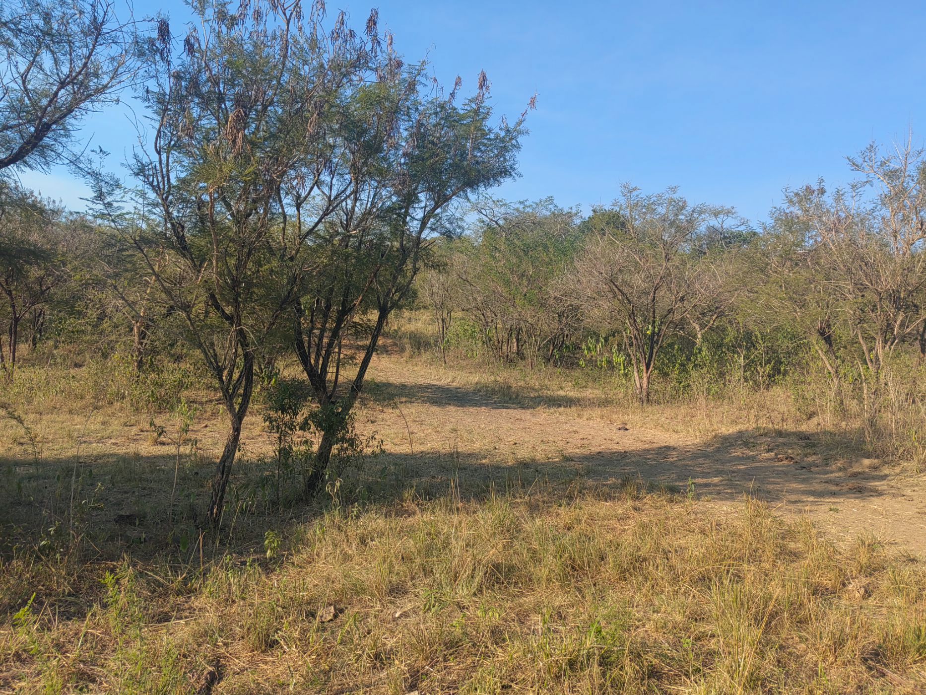 Farm vacant land for sale in Mbombela Rural (Nelspruit Rural) - 1NS1660750