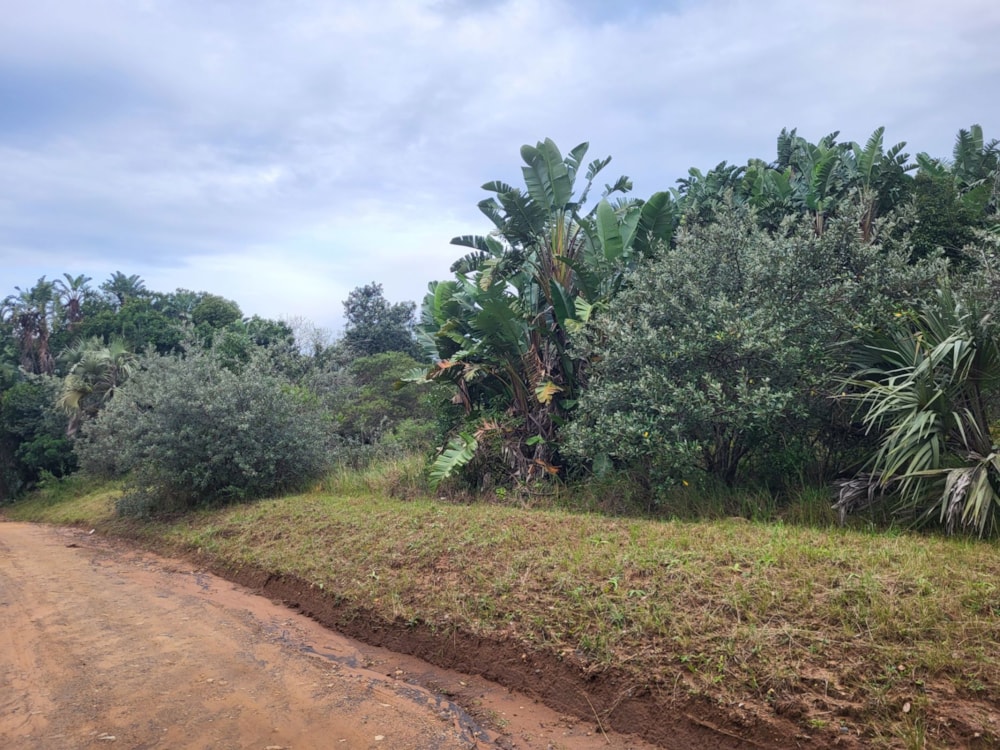 Residential vacant land for sale in Palm Beach - 1PD1660872 Residential vacant land for sale in Palm Beach - 1PD1660872