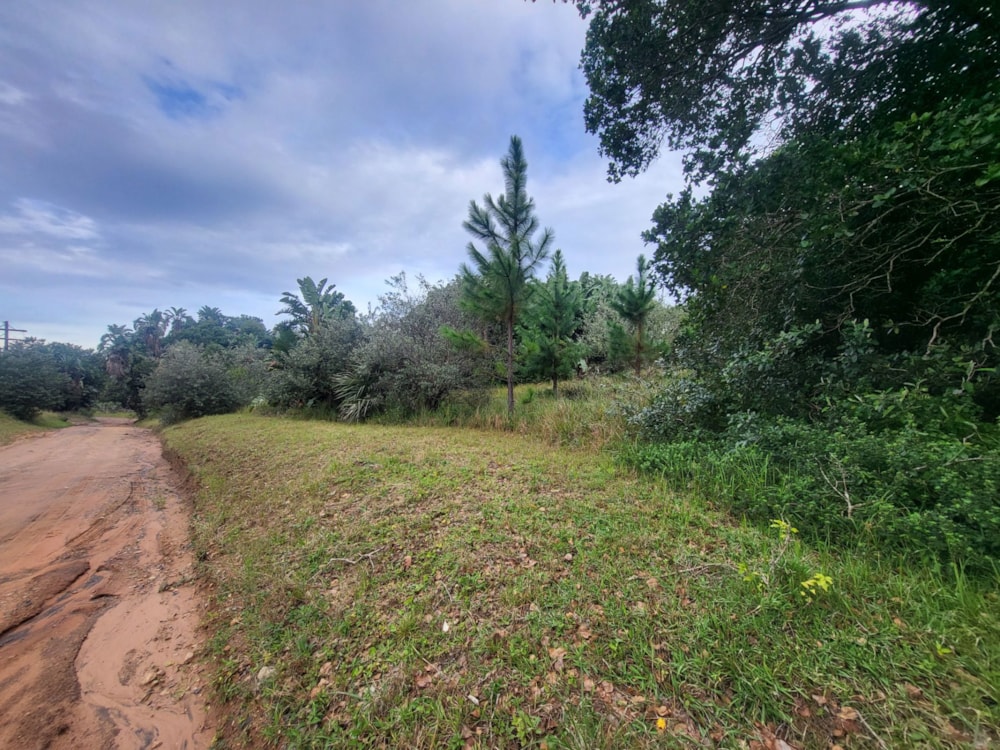 Residential vacant land for sale in Palm Beach - 1PD1660872 Residential vacant land for sale in Palm Beach - 1PD1660872