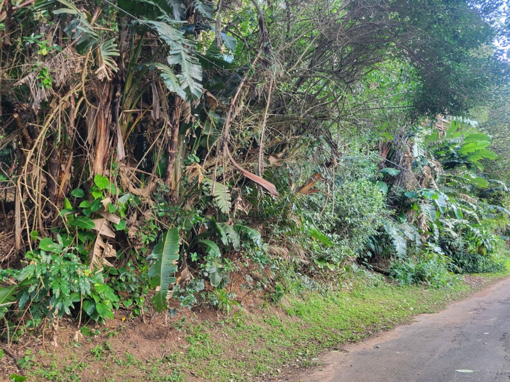 Residential vacant land for sale in Trafalgar - 1PD1660953