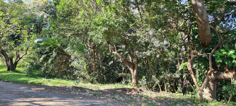 Residential vacant land for sale in Banners Rest - 1PD1661307