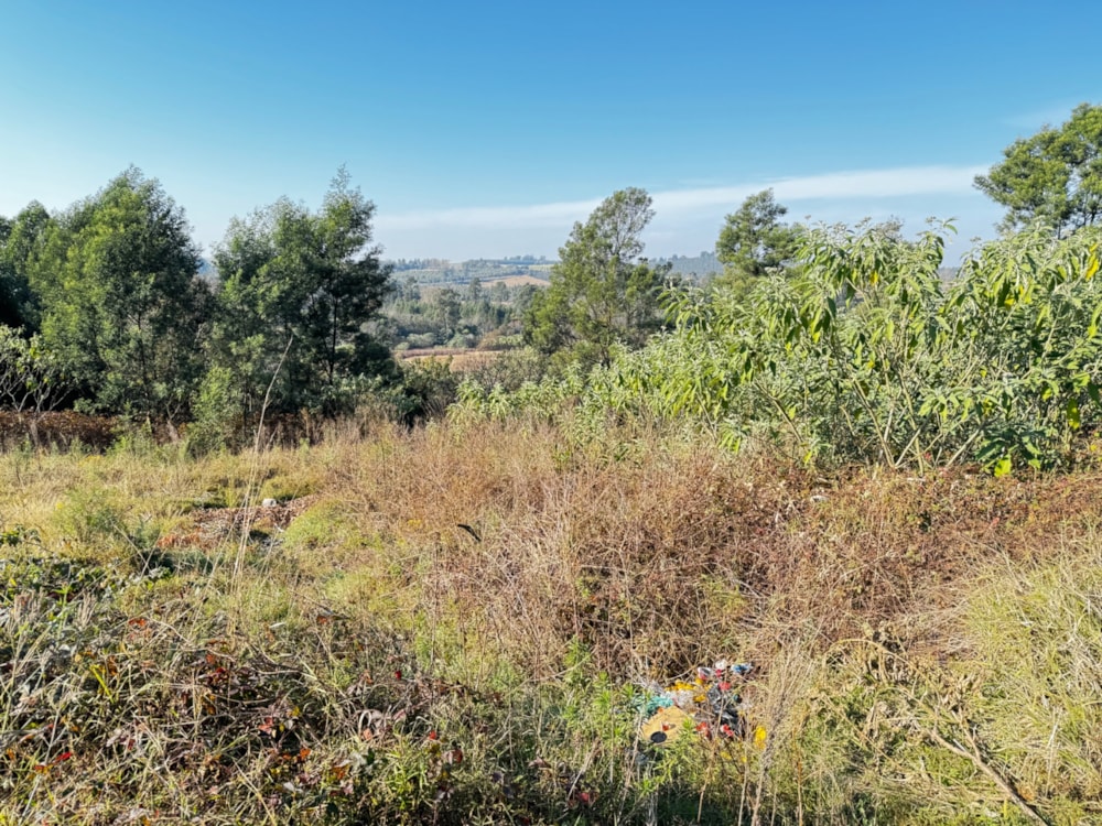 Residential vacant land sold in Richmond, Midlands, Rural - 1PM1663817