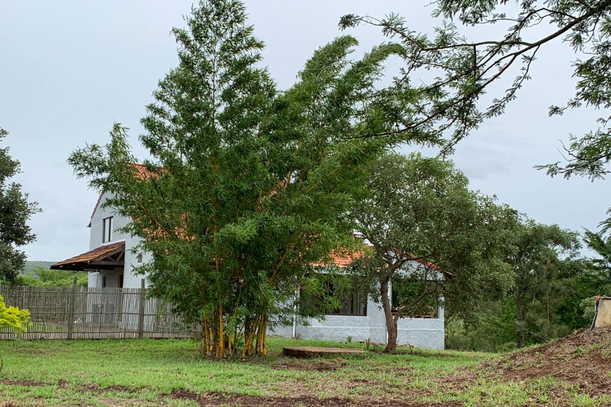 Farm vacant land for investment in Namaacha, Mozambique - 3MQ1661879