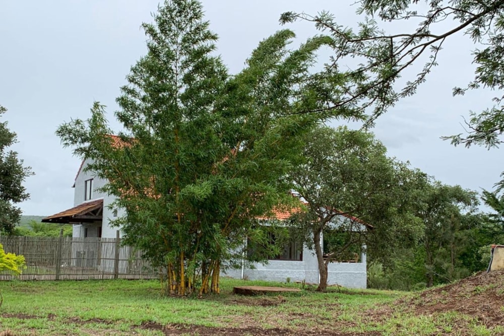 Farm vacant land for investment in Namaacha, Mozambique - 3MQ1661879