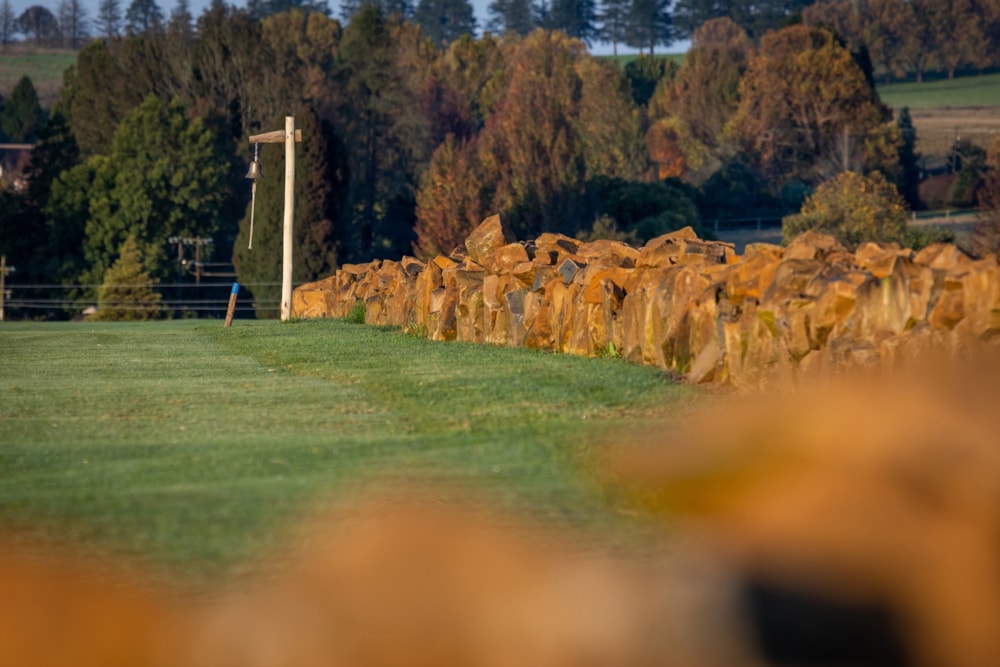 Vacant land for sale in Nottingham Road - 1PM1661776