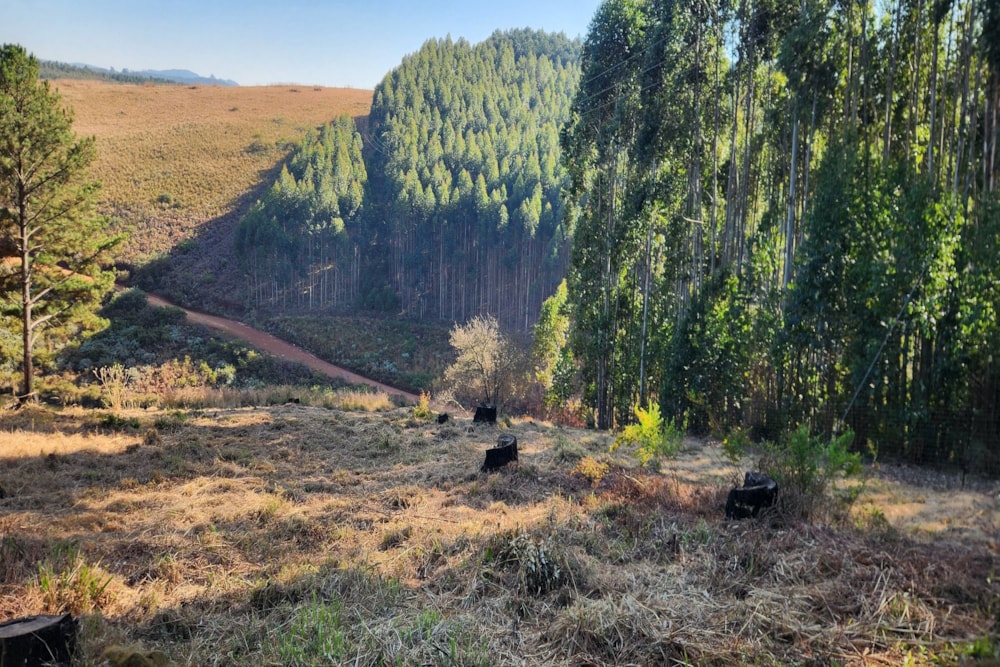 Residential vacant land for sale in Haenertsburg - 1TA1661845