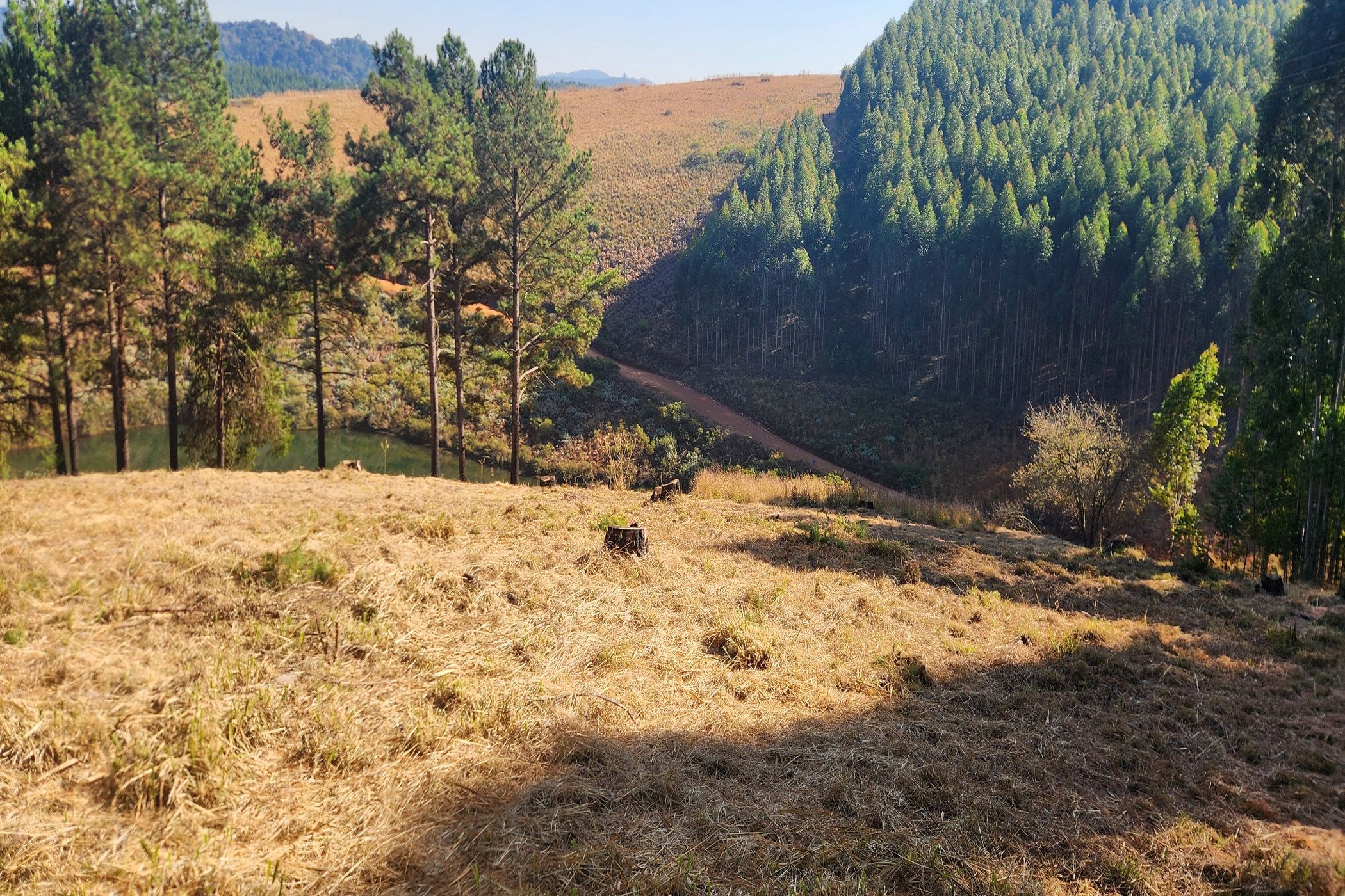 Residential vacant land for sale in Haenertsburg - 1TA1661845