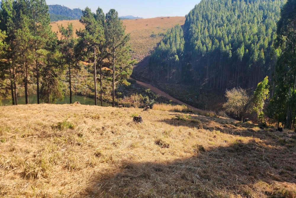 Residential vacant land for sale in Haenertsburg - 1TA1661845