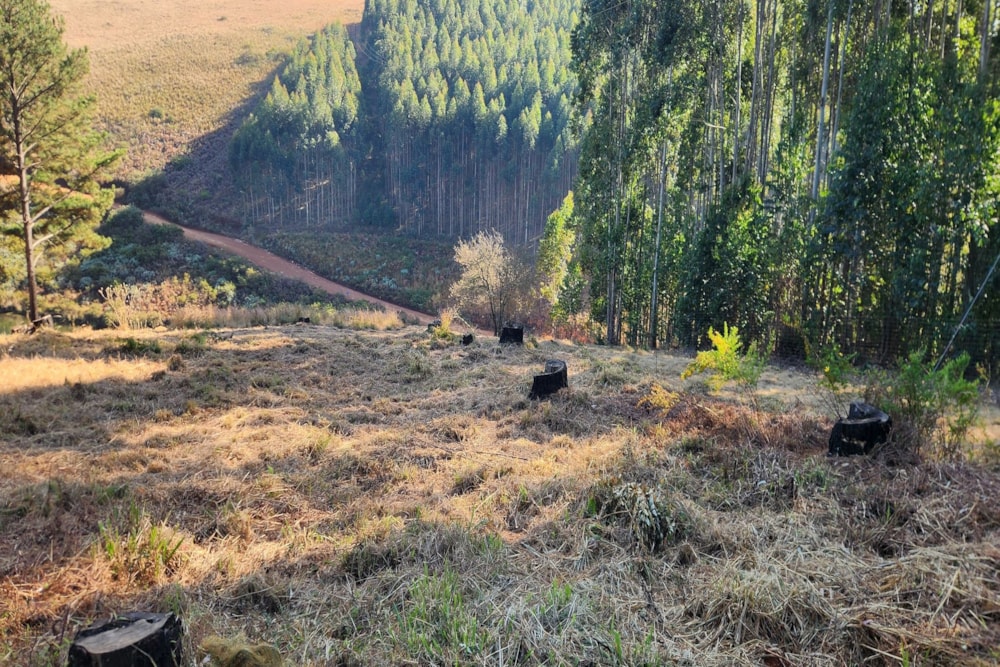 Residential vacant land for sale in Haenertsburg - 1TA1661845