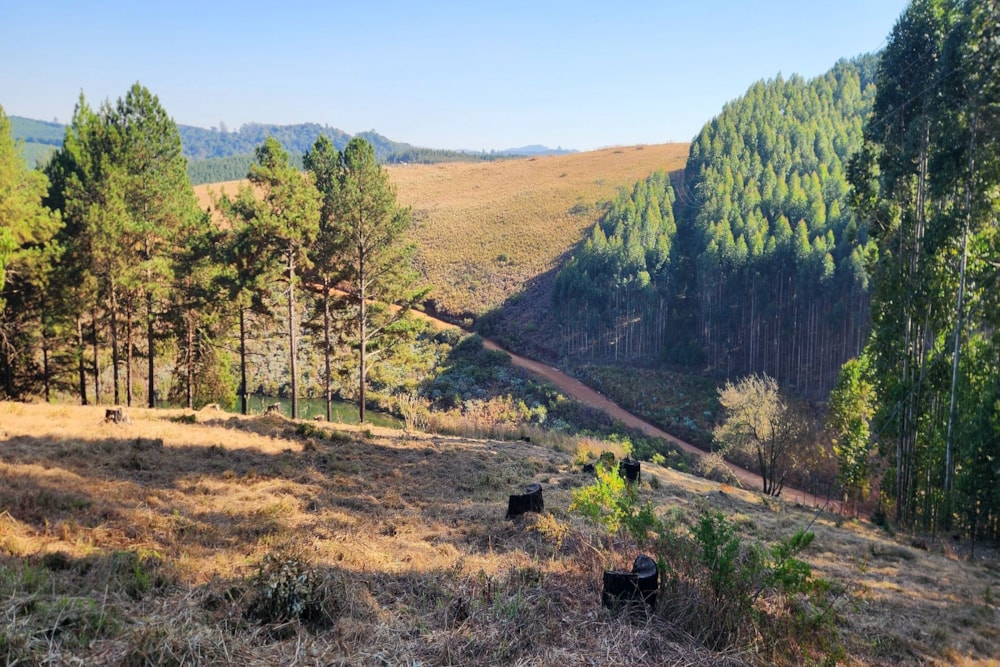 Residential vacant land for sale in Haenertsburg - 1TA1661845