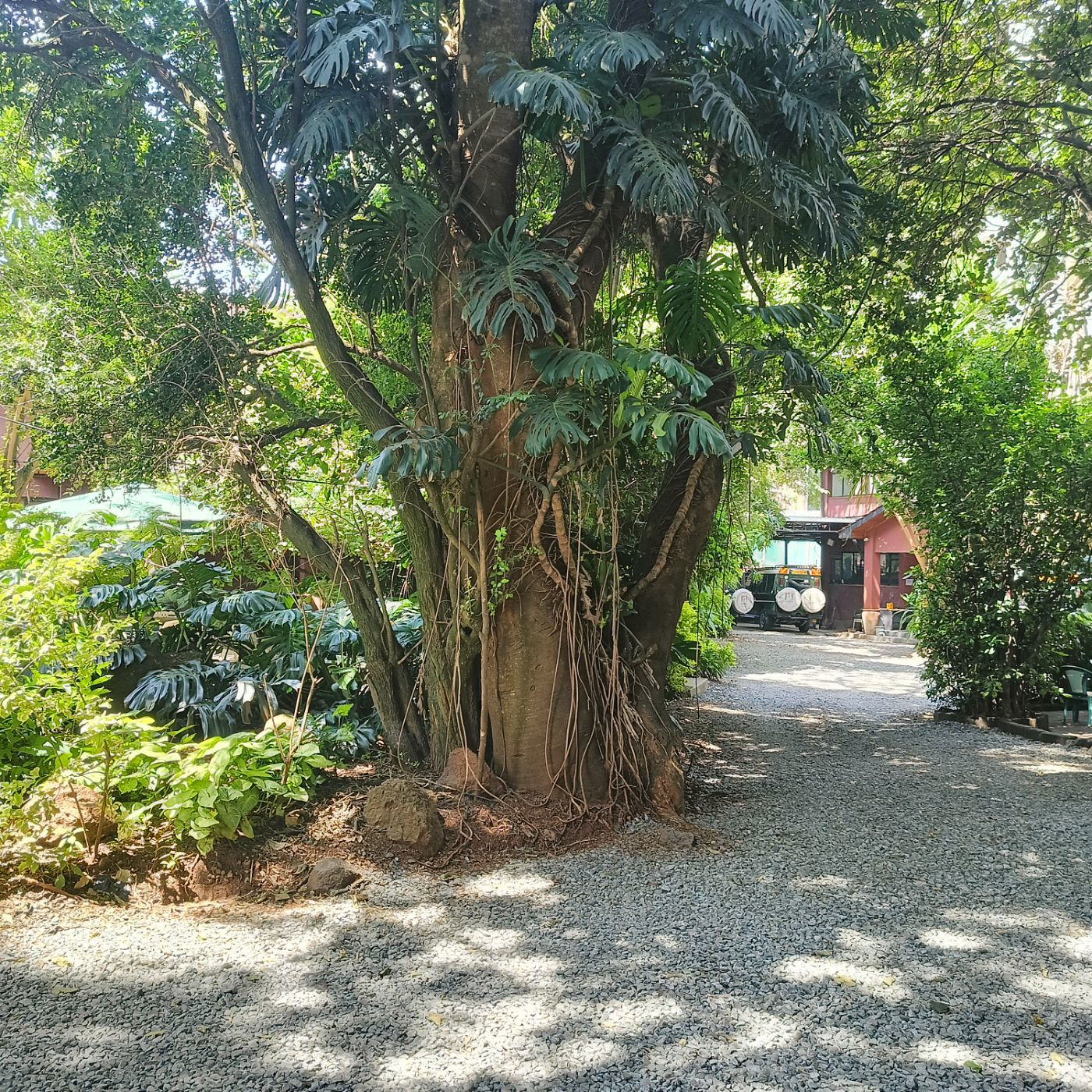 Commercial vacant land for sale in Kilimani, Kenya - 3KE1744262