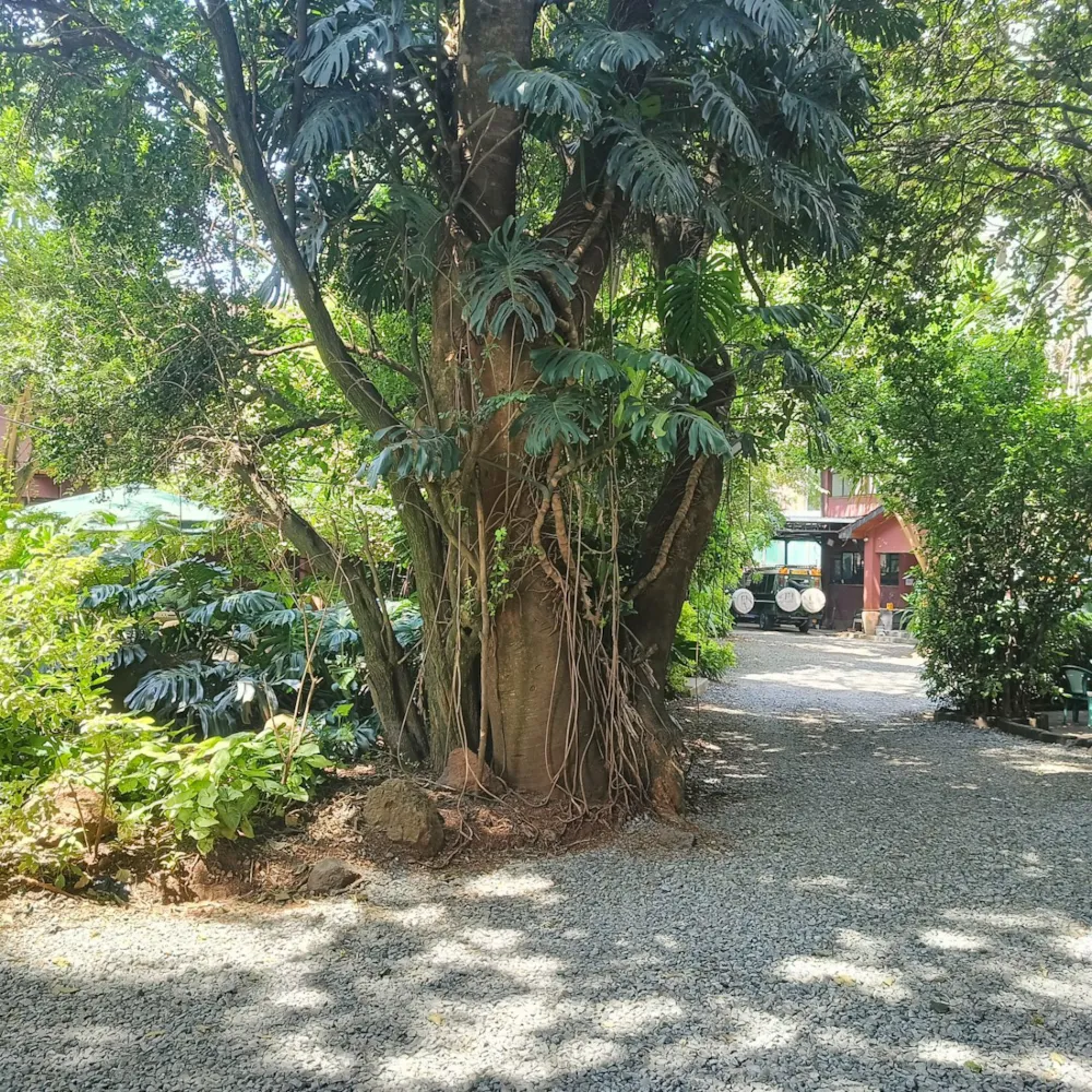 Commercial vacant land for sale in Kilimani, Kenya - 3KE1744262 Commercial vacant land for sale in Kilimani, Kenya - 3KE1744262