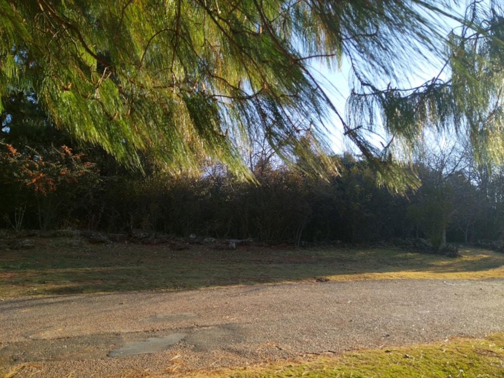 Vacant land sold in Dullstroom - 1DS1662113 Vacant land sold in Dullstroom - 1DS1662113
