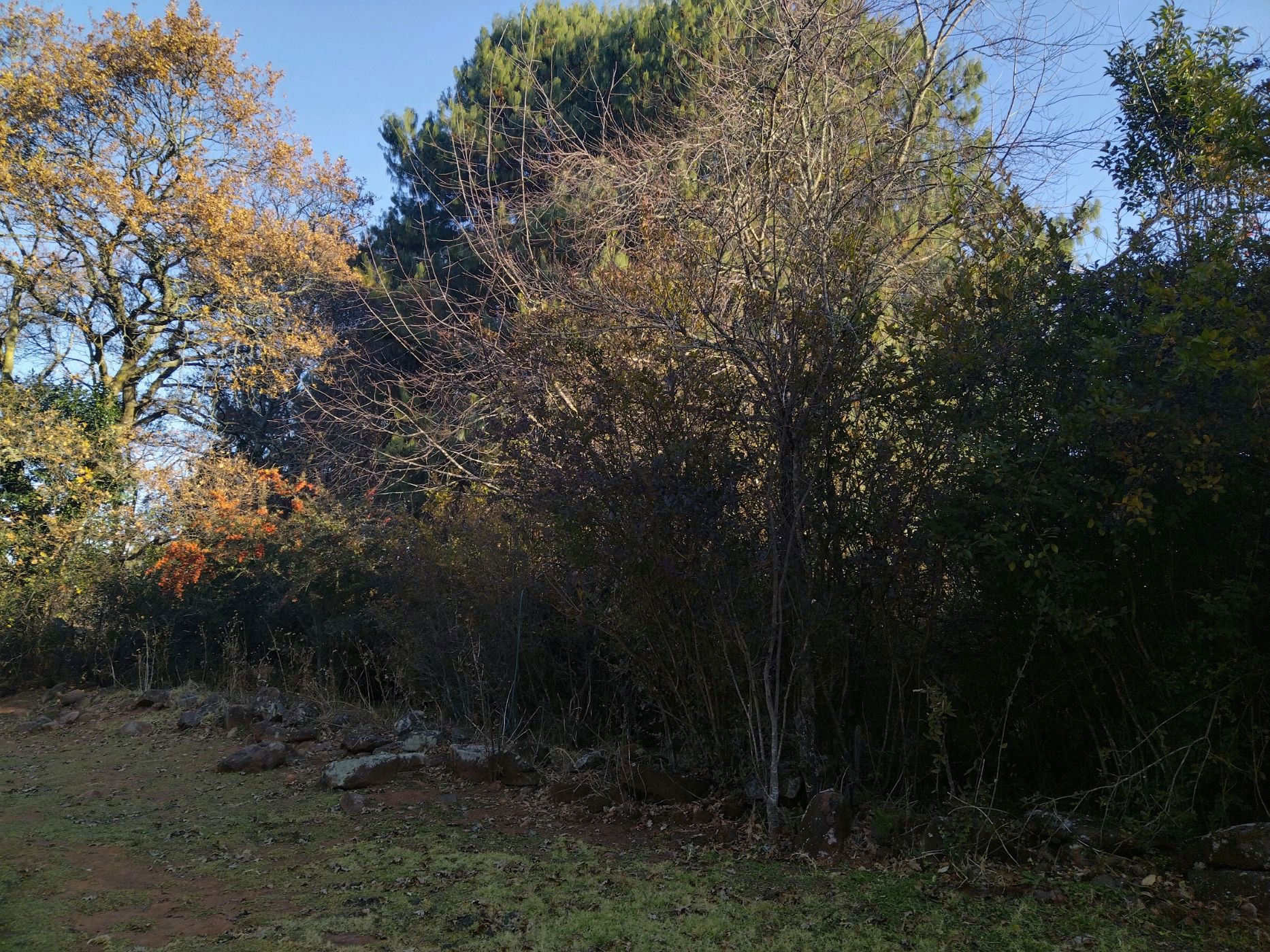 Vacant land sold in Dullstroom - 1DS1662113