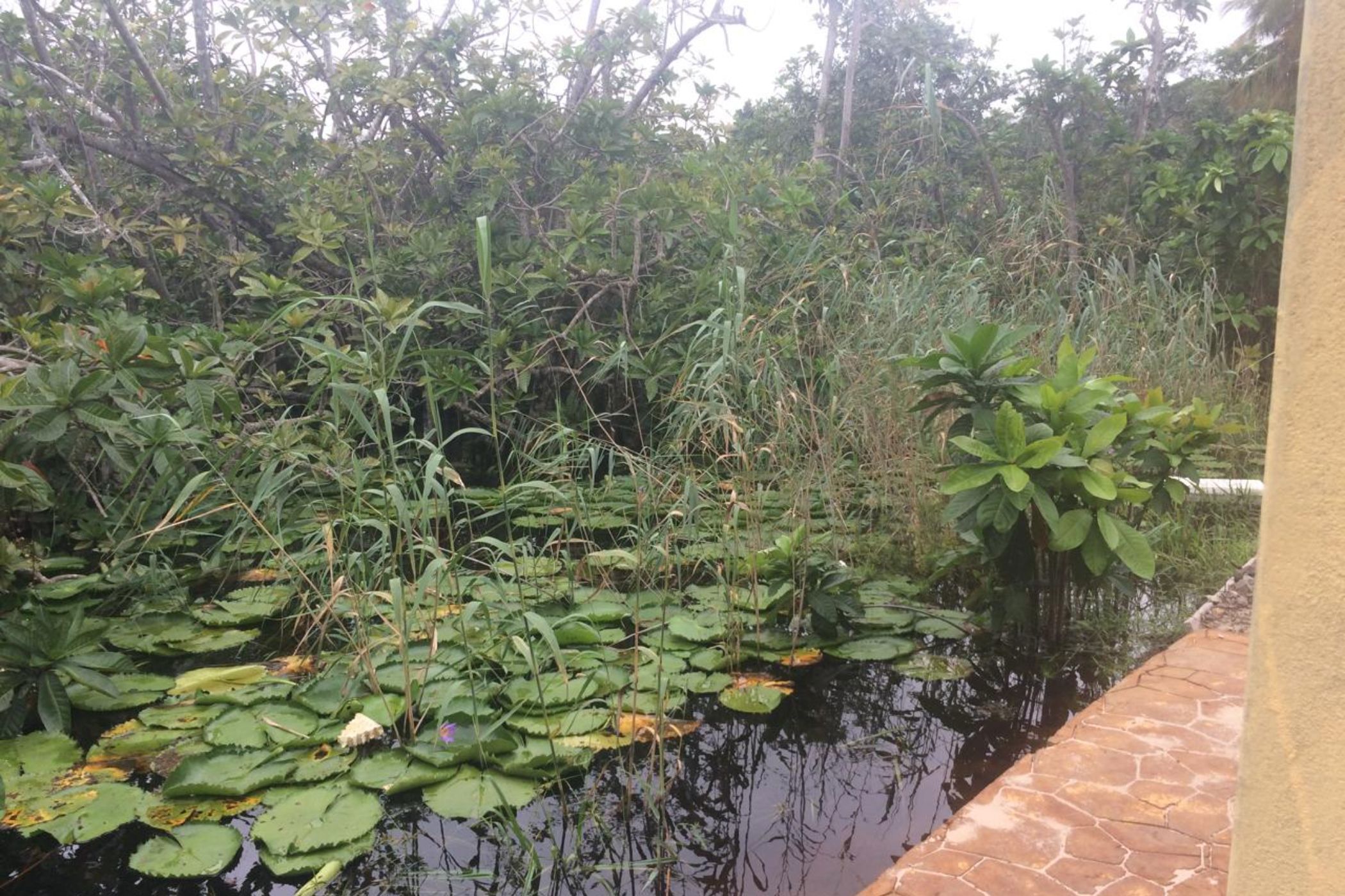 Farm vacant land sold in Pomene, Mozambique - 3MQ1662134