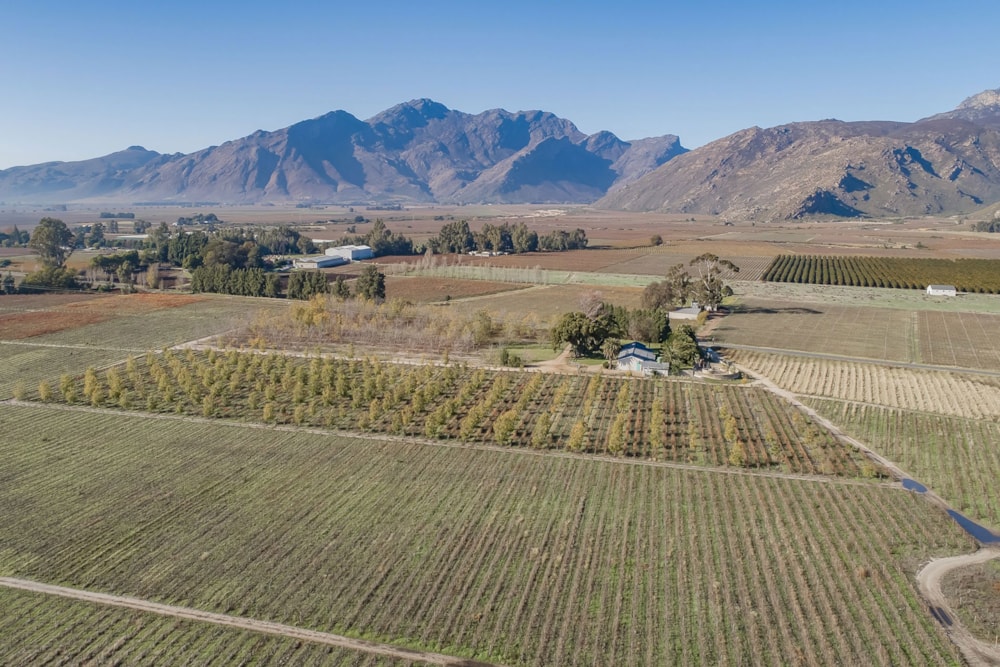 Mixed use farm sold in Rawsonville, Worcester - TK1662234 Mixed use farm sold in Rawsonville, Worcester - TK1662234