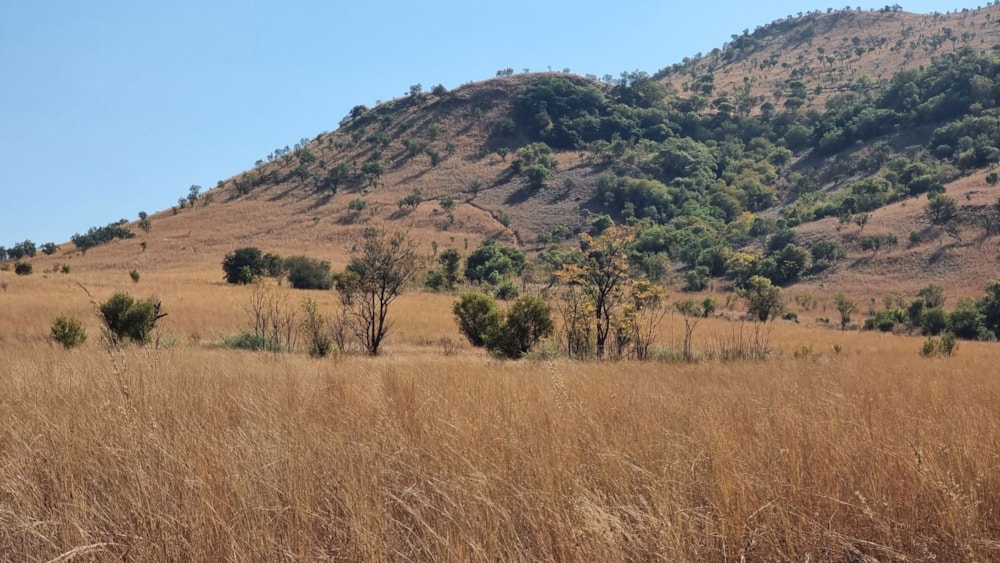 Vacant land for sale in Broederstroom - 1HR1662941