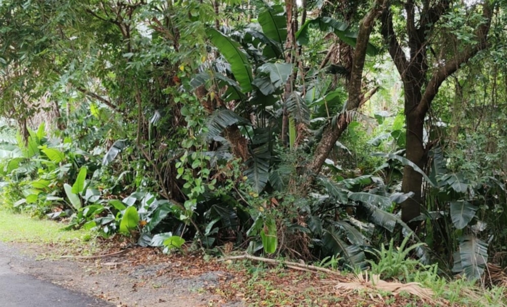 Residential vacant land for sale in Southbroom - 1PD1662394