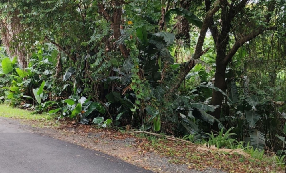 Residential vacant land for sale in Southbroom - 1PD1662394