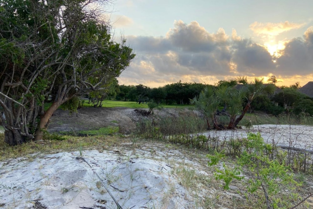 Vacant land for investment in Inhassoro, Mozambique - 3MQ1662540 Vacant land for investment in Inhassoro, Mozambique - 3MQ1662540