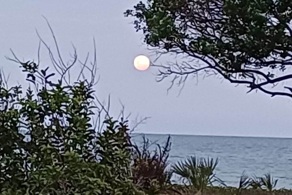 Vacant land for investment in Inhassoro, Mozambique - 3MQ1662540 Vacant land for investment in Inhassoro, Mozambique - 3MQ1662540