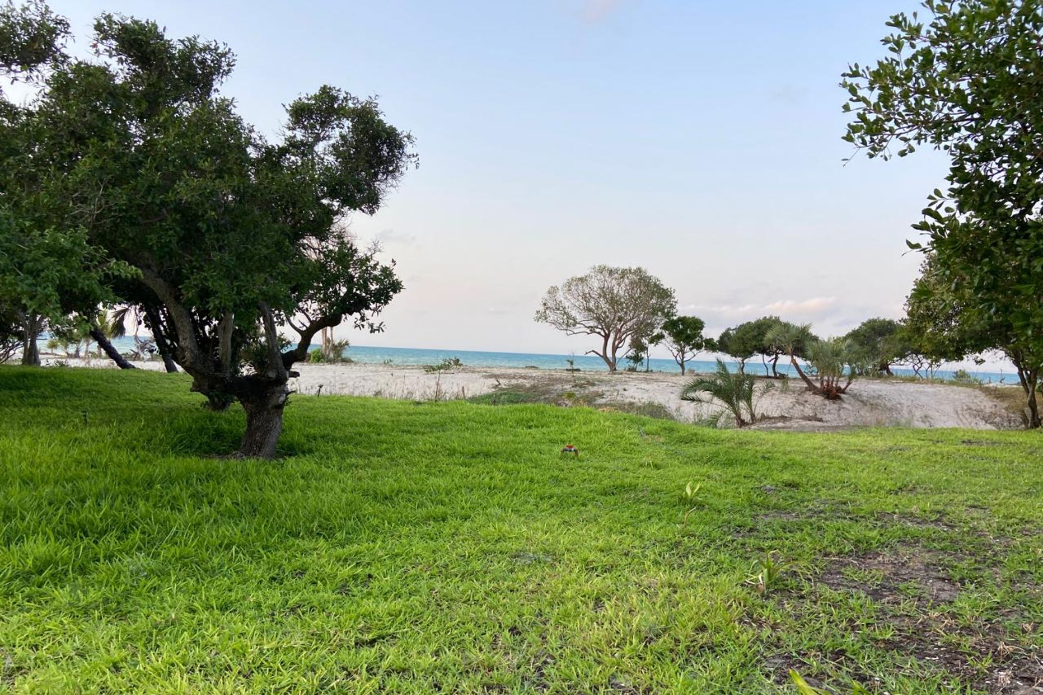 Vacant land for investment in Inhassoro, Mozambique - 3MQ1662540