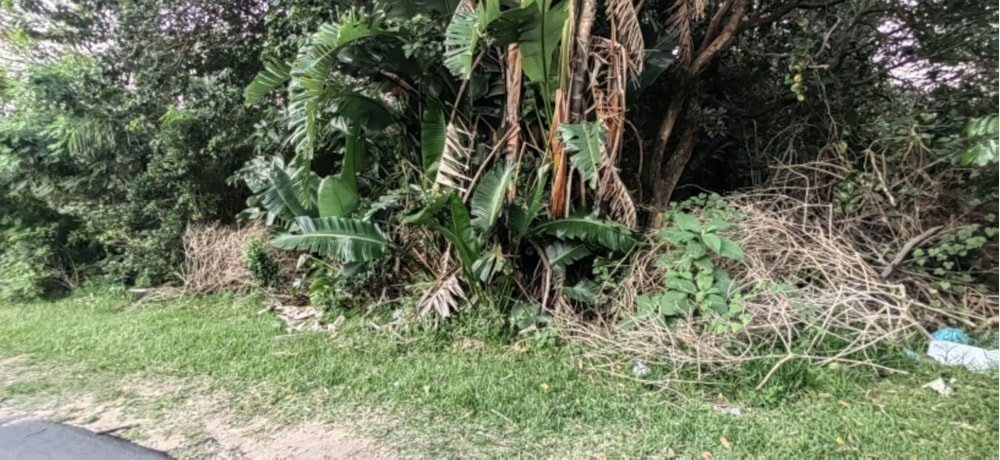 Vacant land for sale in Margate - 1PSH1662662 Vacant land for sale in Margate - 1PSH1662662