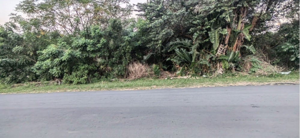 Vacant land for sale in Margate - 1PSH1662662 Vacant land for sale in Margate - 1PSH1662662