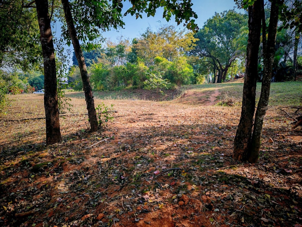 Vacant land for sale in Aqua Park - 1TA1662668