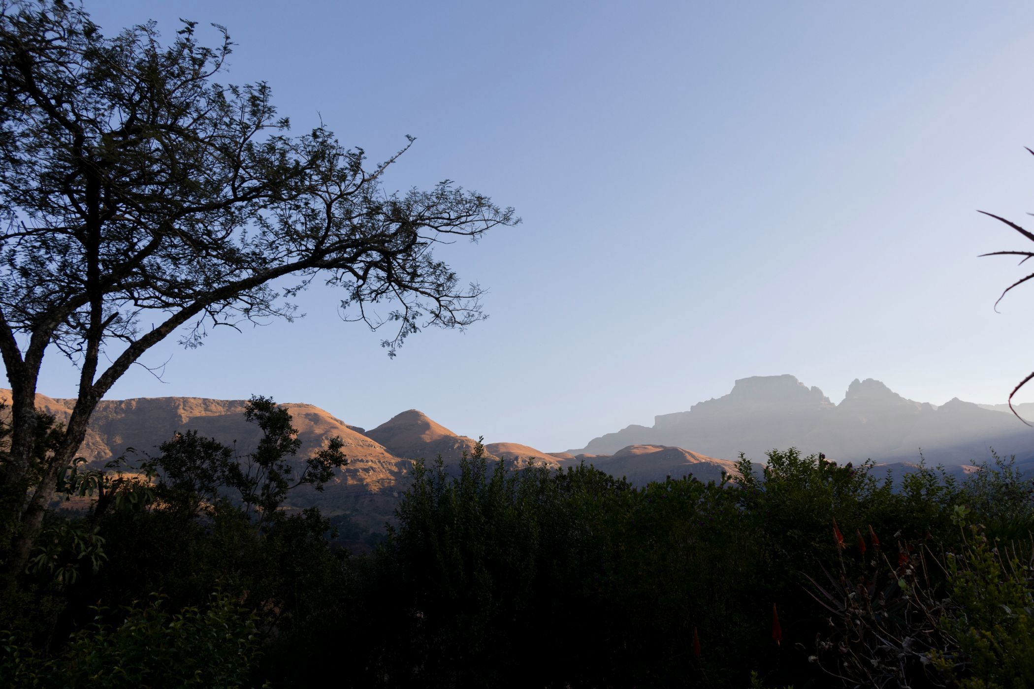 House for sale in Cathkin Park - 1PM1662733