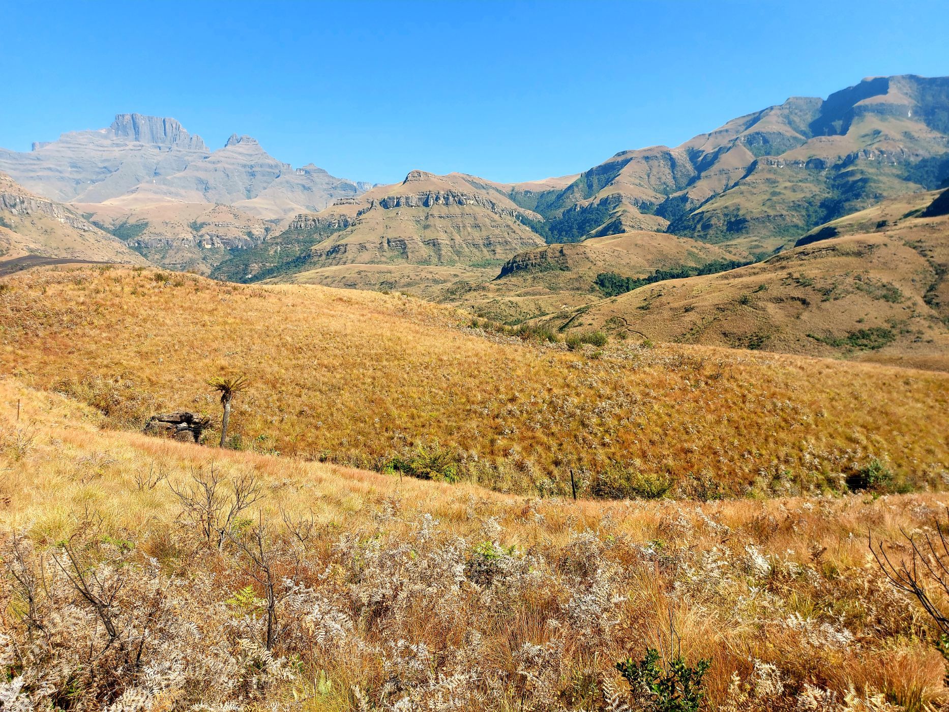 House for sale in Cathkin Park - 1PM1662733