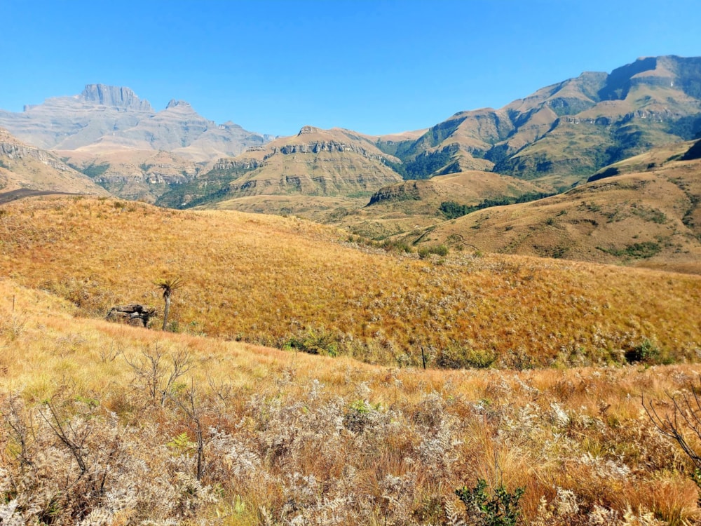 House for sale in Cathkin Park - 1PM1662733