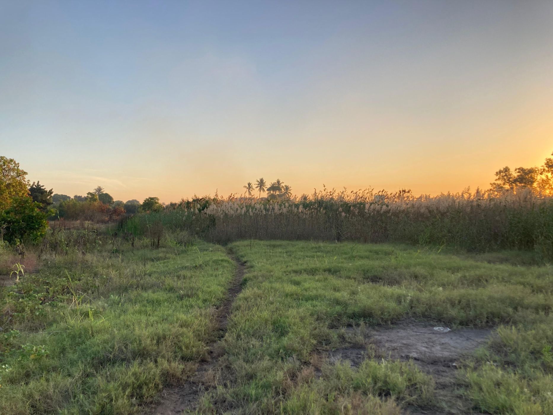 Vacant land for investment in Matola, Mozambique - 3MQ1663015