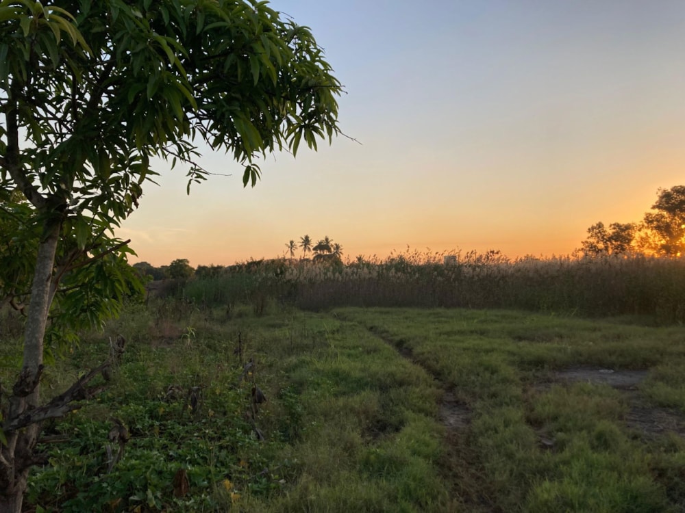 Vacant land for investment in Matola, Mozambique - 3MQ1663015