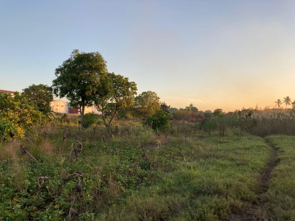 Vacant land for investment in Matola, Mozambique - 3MQ1663015