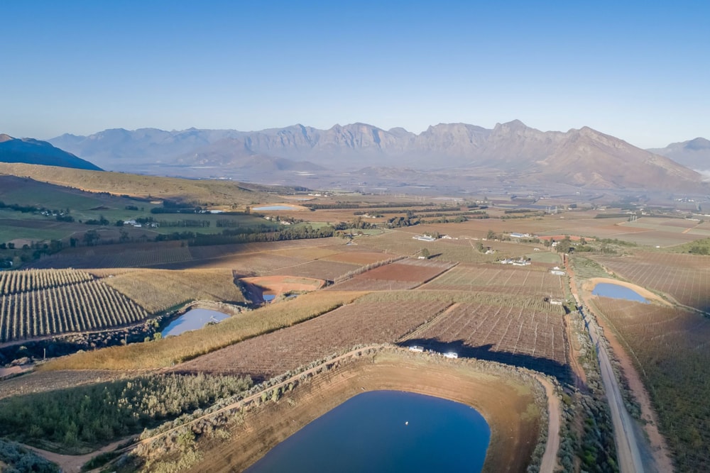 Fruit farm for sale in Worcester Rural - TK1663797 Fruit farm for sale in Worcester Rural - TK1663797