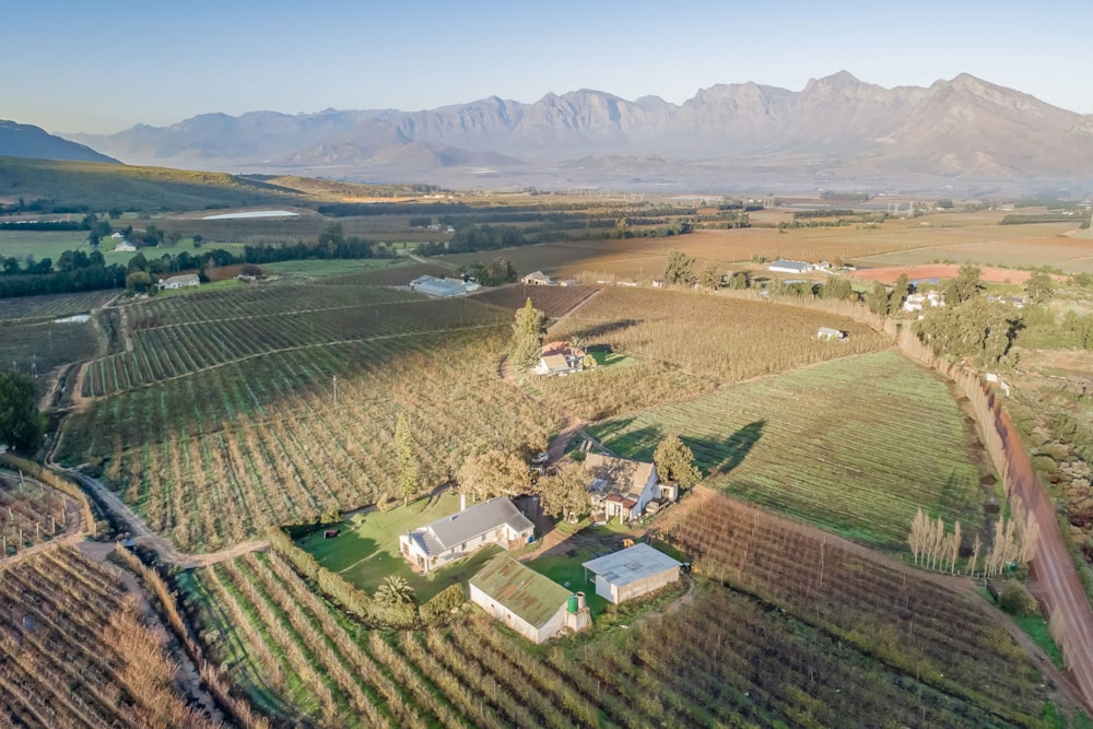 Fruit farm for sale in Worcester Rural - TK1663797 Fruit farm for sale in Worcester Rural - TK1663797