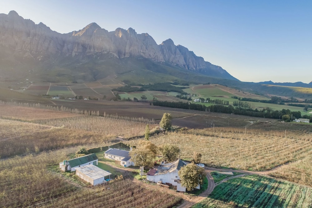 Fruit farm for sale in Worcester Rural - TK1663797 Fruit farm for sale in Worcester Rural - TK1663797