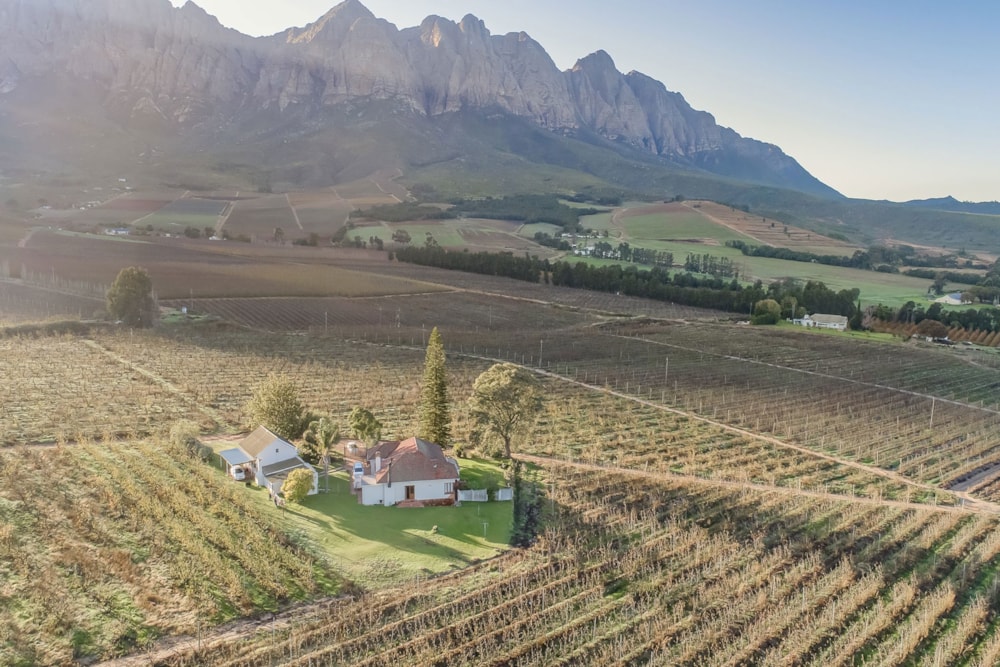 Fruit farm for sale in Worcester Rural - TK1663797 Fruit farm for sale in Worcester Rural - TK1663797