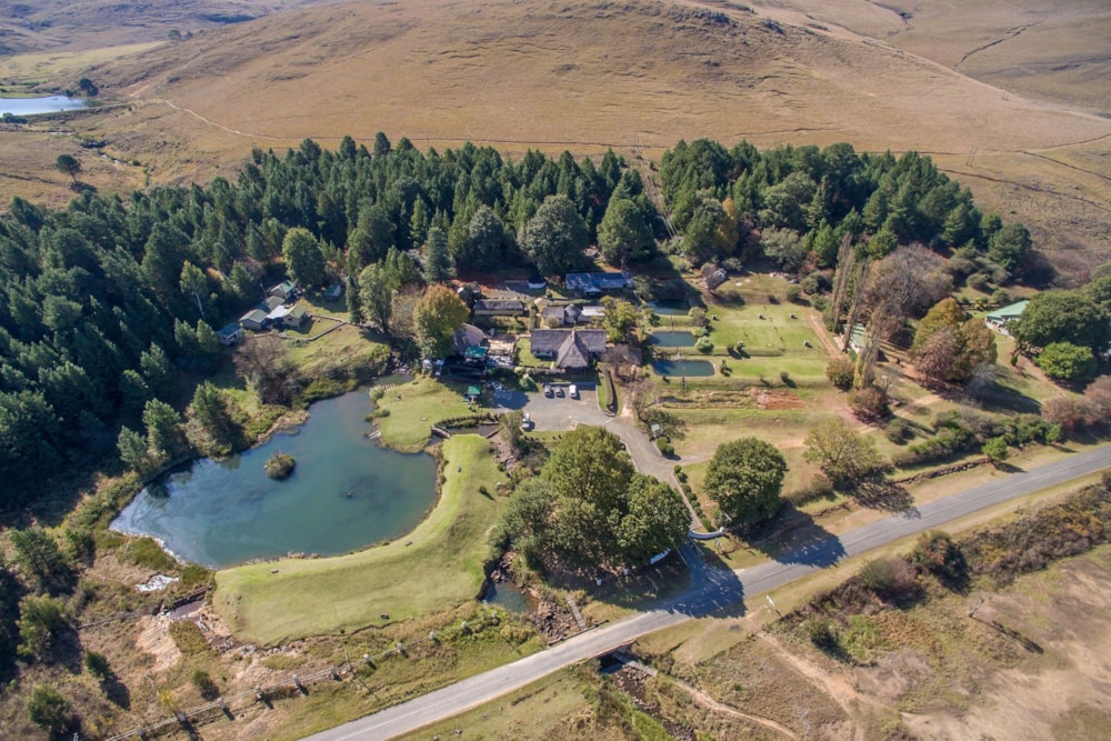 Commercial business for sale in Underberg - 1UB1661968