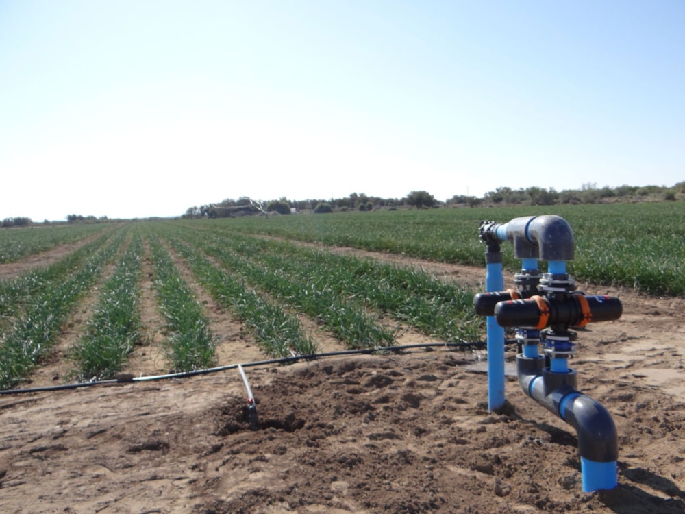 Mixed use farm for sale in Beaufort West Rural - 1KK1663798 Mixed use farm for sale in Beaufort West Rural - 1KK1663798