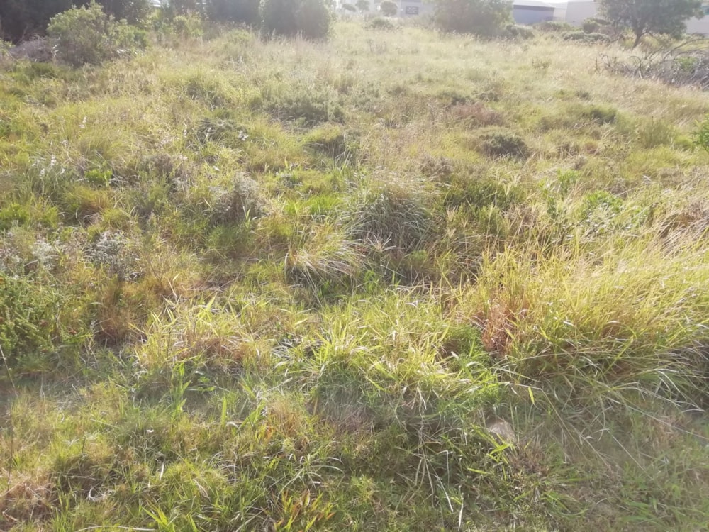 Vacant land for sale in Fountains Estate - 1JF1662989 Vacant land for sale in Fountains Estate - 1JF1662989